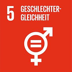 Icon Ziel 5: Geschlechtergleichheit