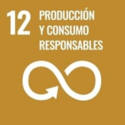 Garantizar modalidades de consumo y producción sostenibles.