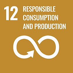 ENSURE SUSTAINABLE CONSUMPTION AND PRODUCTION PATTERNS.